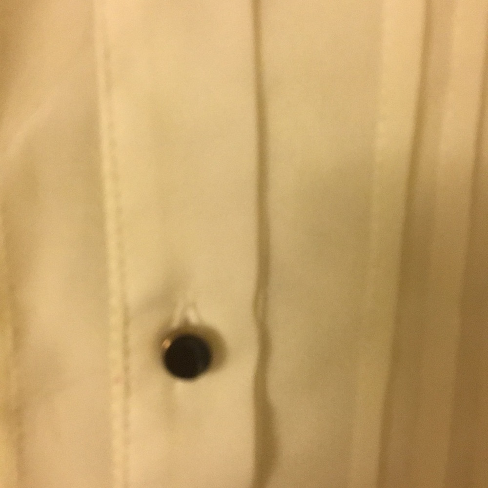 Francesca’s Collared Blouse - Picture 4 of 5